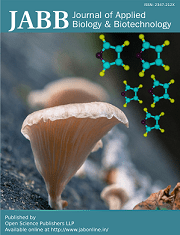 book cover 1