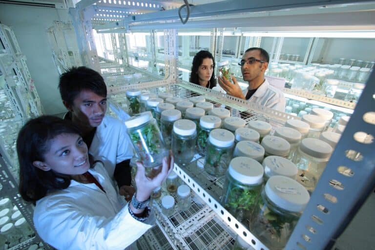 Research and Training